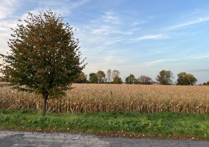 działka na sprzedaż - Kąty Wrocławskie (gw), Pietrzykowice